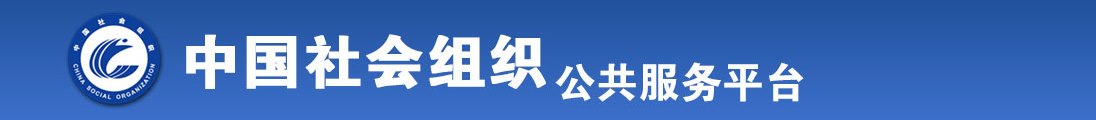 国内草逼网大全全国社会组织信息查询